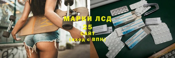 PSILOCYBIN Алзамай