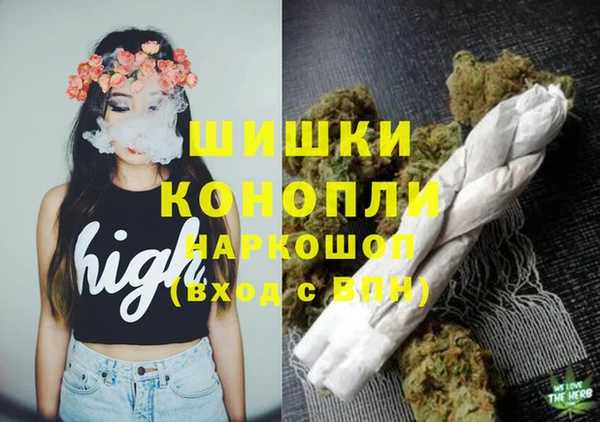 PSILOCYBIN Алзамай