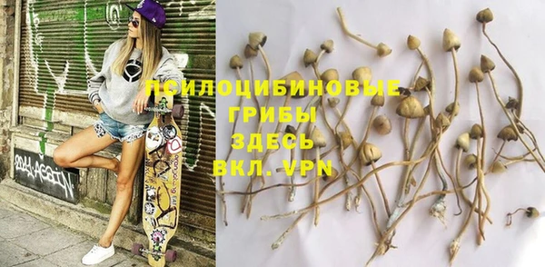 PSILOCYBIN Алзамай