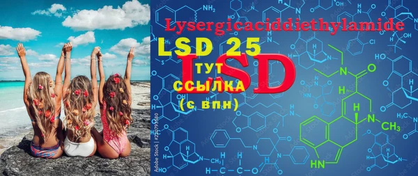 PSILOCYBIN Алзамай