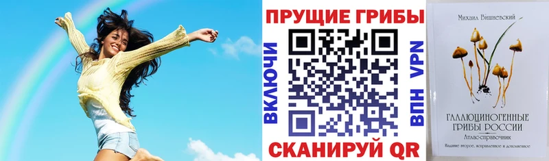 Галлюциногенные грибы Cubensis  Купить где  Балахна 
